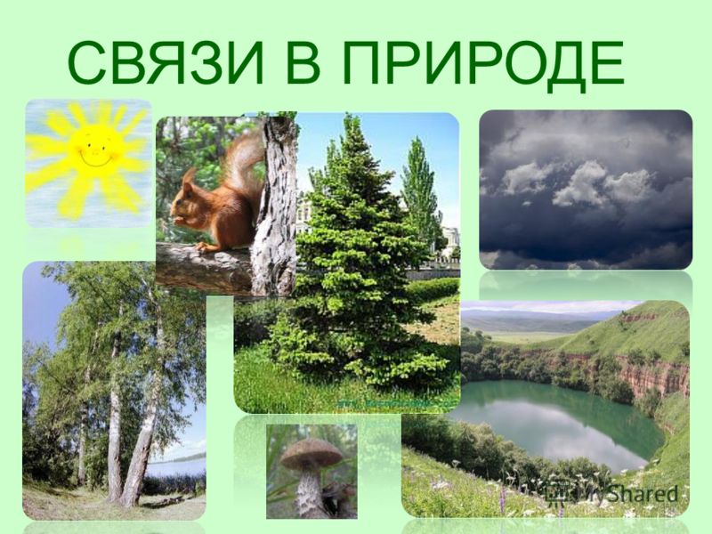 Чем связан человек и природа Чем связан человек и природа