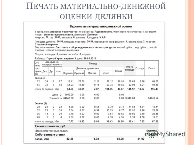 материально денежная оценка лесосек программа