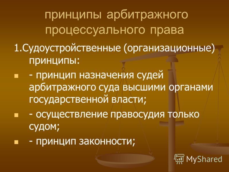 Контрольная работа: Принципы арбитражного процессуального права общая характеристика