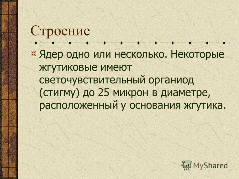 простейшие паразиты в кишечнике человека простейшие паразиты в кишечнике человека