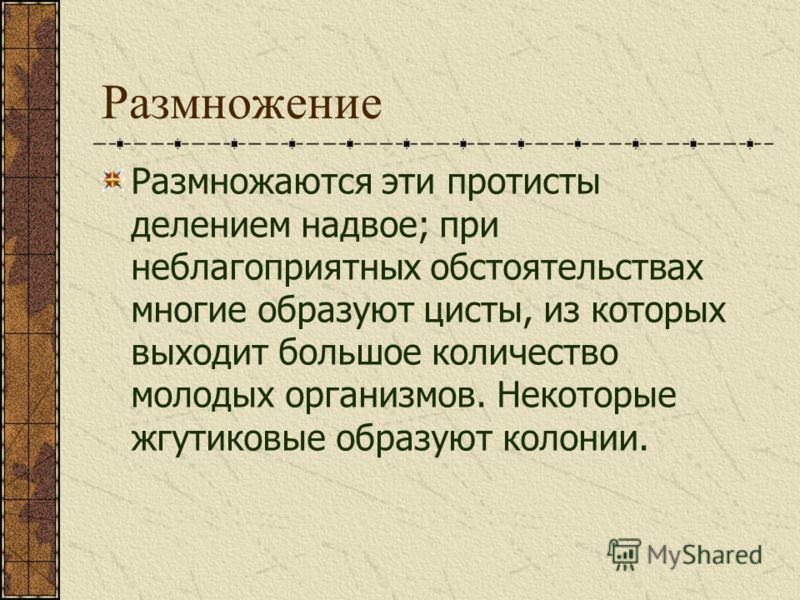жгутиковые паразиты человека жгутиковые паразиты человека
