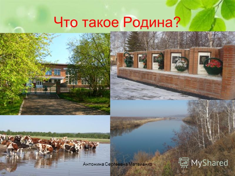 Что означает синий цвет Символика синего цвета в психологии, интерьере и одежде, языке цветов Что означает синий цвет Символика синего цвета в психологии, интерьере и одежде, языке цветов