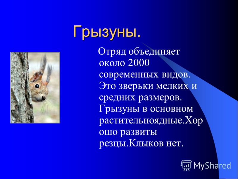 Доклад на тему t зимуют животные картинки Доклад на тему t зимуют животные картинки