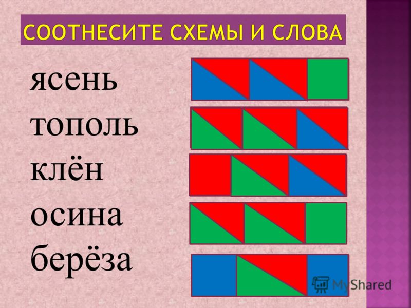 Обучающая презентация по русскому языку на тему "Многозначные слова"