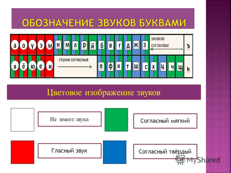 Как сделать экибана из хризантем Как сделать экибана из хризантем