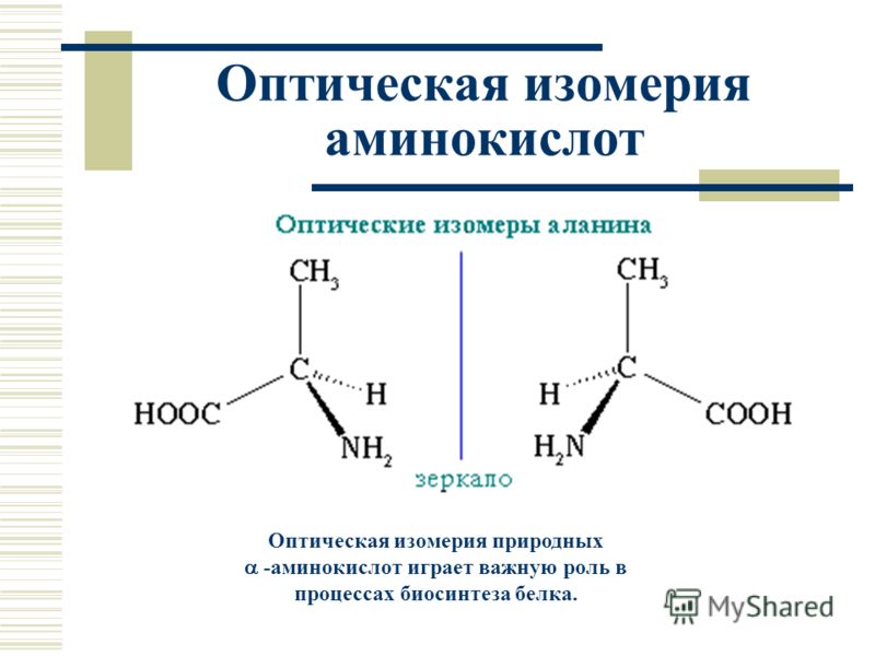 Курсовая работа: Оптическая изомерия