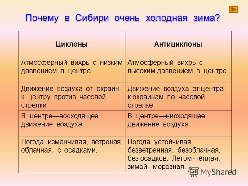 Как правильно сушить дерево для поделок Как правильно сушить дерево для поделок