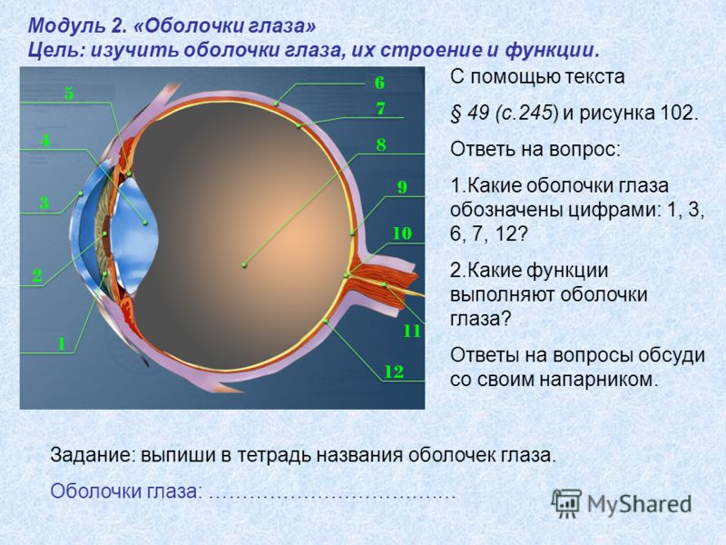 Строение 493 Строение 629