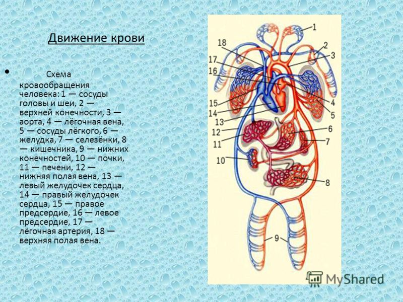 Кровотечение из расширенных вен пищевода мкб 10