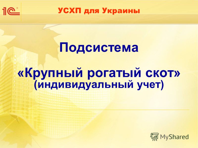 УСХП для Украины Подсистема «Крупный рогатый скот» (индивидуальный учет)