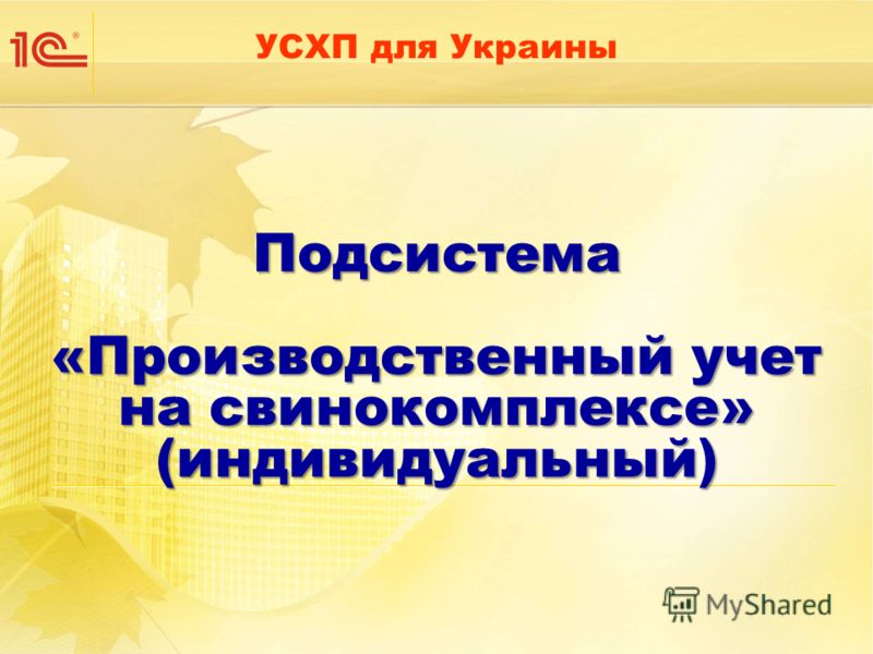 Подсистема «Производственный учет на свинокомплексе» (индивидуальный) УСХП для Украины