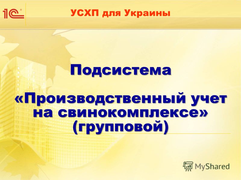 Подсистема «Производственный учет на свинокомплексе» (групповой) УСХП для Украины