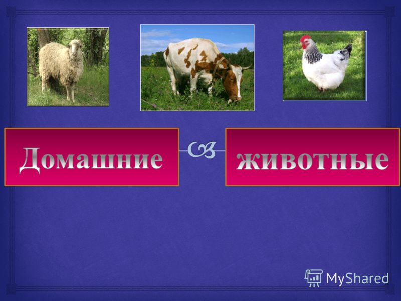 Как понять болела ли я ветрянкой