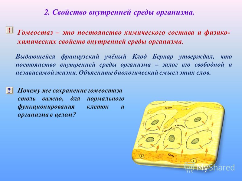 Тесты по биологии 8 класс по главе внутренняя среда организма