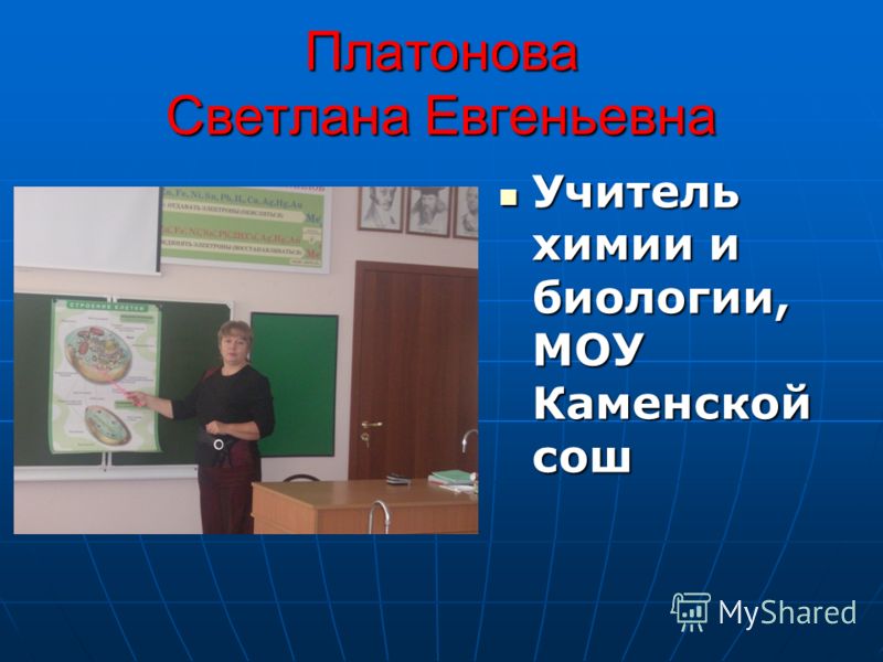 Обшивка стен пластиковыми панелями своими руками: технология процесса Необычные пригласительные на свадьбу: чем удивить гостей