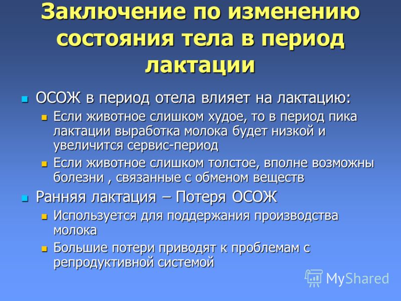 Что за болезнь хронический эпидидимит