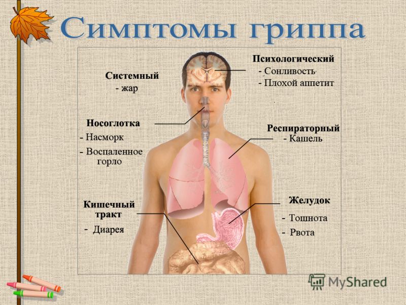 Анекдот о том, как цыганка денег не заработала Анекдот о том, как цыганка денег не заработала