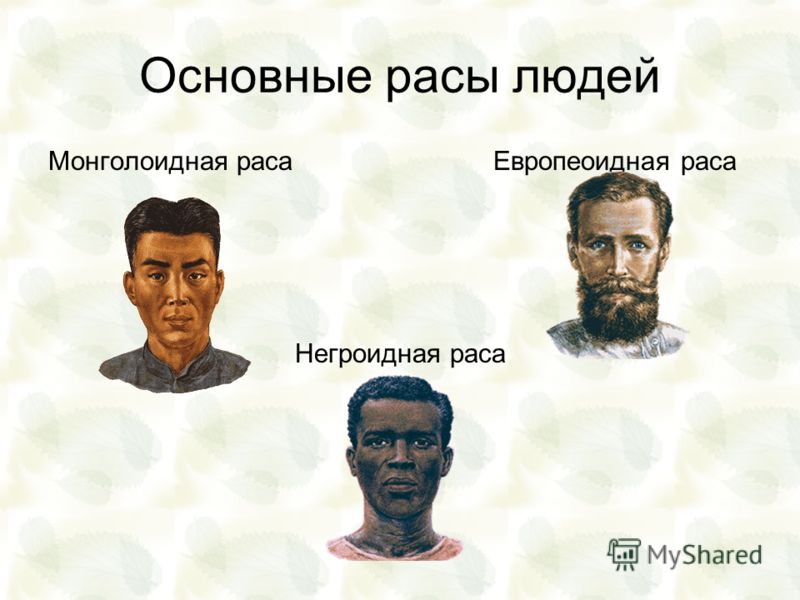 скачать презентация расы человека
