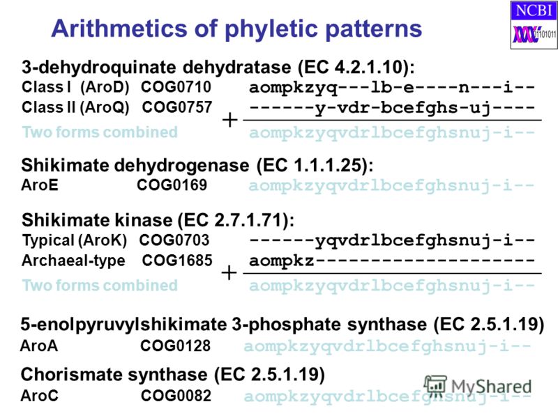 Arithmetics of phyletic patterns 3-dehydroquinate dehydratase (EC 4.2.1.10): Class I (AroD) COG0710 aompkzyq---lb-e----n---i-- Class II (AroQ) COG0757 ------y-vdr-bcefghs-uj---- Two forms combined aompkzyqvdrlbcefghsnuj-i-- + 5-enolpyruvylshikimate 3