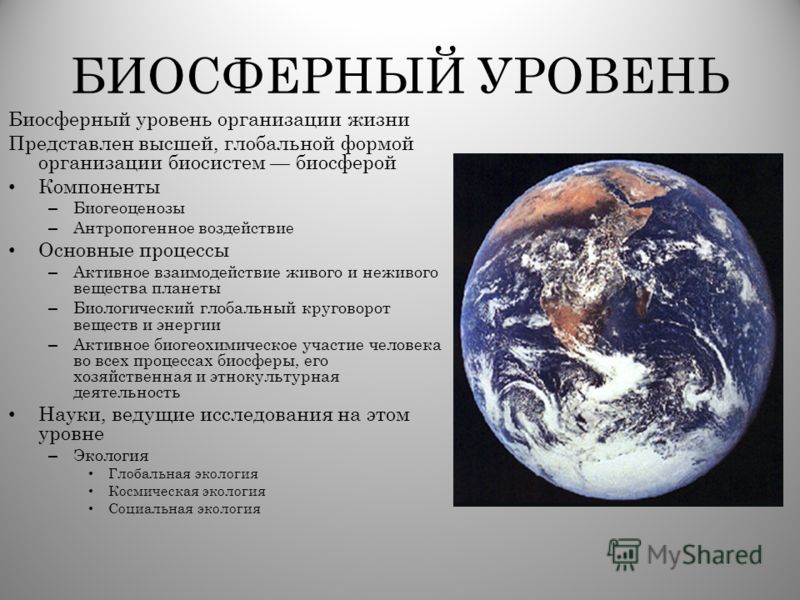 [PUNIQRANDLINE-(au-dating-names.txt) 39 Реферат на тему биосферный уровень 5637
