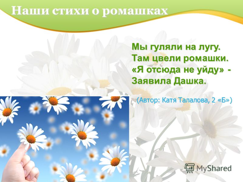 Конкурсы про ромашки Конкурсы про ромашки