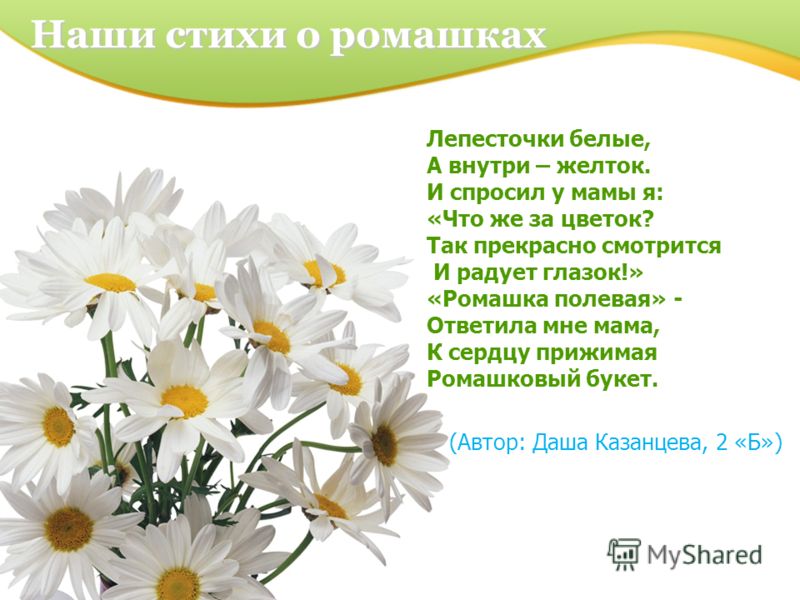 Поздравления с днем рождения крестнице Поздравления с днем рождения