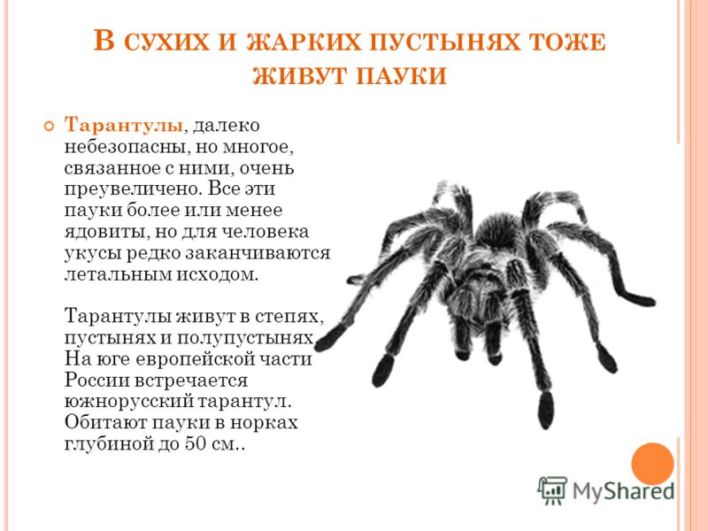 Если не обрабатывать пирсинг пупка Если не обрабатывать пирсинг пупка