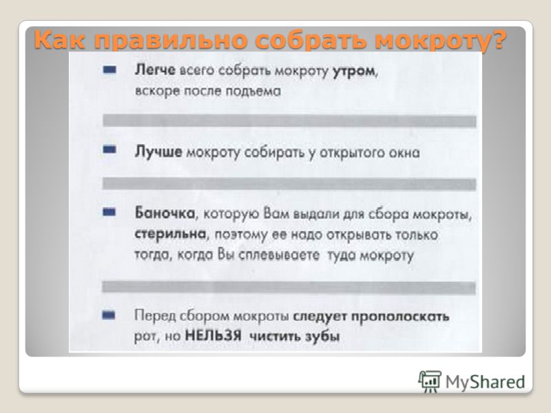 От чего может быть аллергия крапивы и чем ее лечить