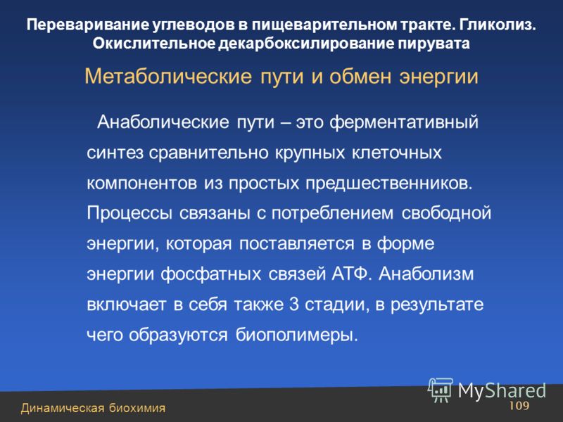 Контрольная работа по теме Синтез и строение РНК. Незаменимые аминокислоты. Функции холестерина в организме. Витамин В3, жиры и углеводы