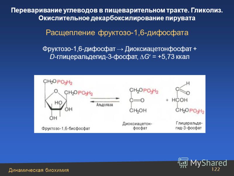 Динамическая биохимия Переваривание углеводов в пищеварительном тракте. Гликолиз. Окислительное декарбоксилирование пирувата 122 Расщепление фруктозо-1,6-дифосфата Фруктозо-1,6-дифосфат Диоксиацетонфосфат + D-глицеральдегид-3-фосфат, G = +5,73 ккал