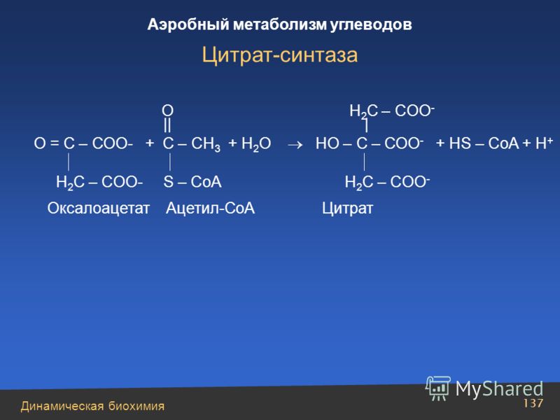 Динамическая биохимия Аэробный метаболизм углеводов 137 О = С – СОО- + С – СН 3 + Н 2 О НО – С – СОО - + HS – CoA + H + O H 2 C – COO - || | H 2 C – COO- S – CoA H 2 C – COO - Оксалоацетат Ацетил-СоА Цитрат Цитрат-синтаза