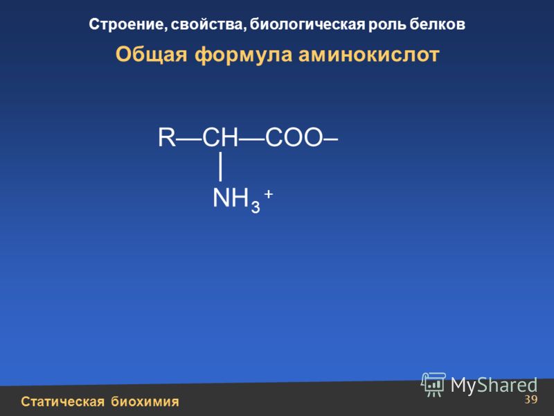 Статическая биохимия Строение, свойства, биологическая роль белков 39 Общая формула аминокислот RCHCOO– NH 3 +