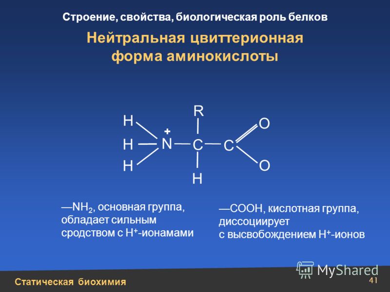 Статическая биохимия Строение, свойства, биологическая роль белков 41 Н Н N Н Н + О О С С R Нейтральная цвиттерионная форма аминокислоты NH 2, основная группа, обладает сильным сродством с Н + -ионамами СООН, кислотная группа, диссоциирует с высвобож