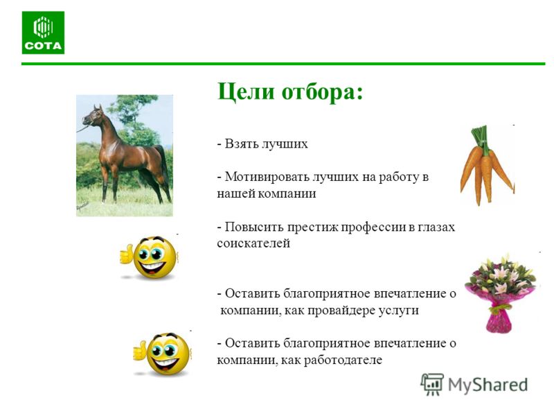 Сценарий индивидуальная беседа Сценарий индивидуальная беседа