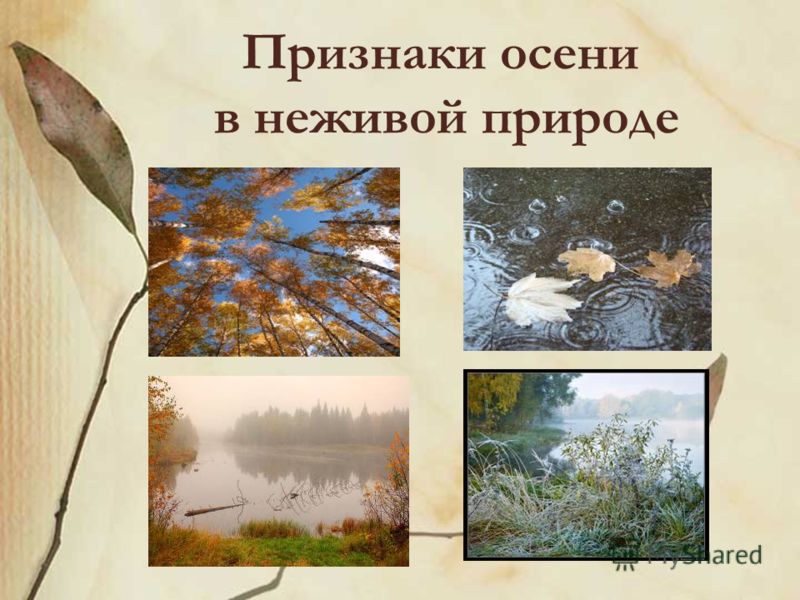 Картинки труд людей в природе осенью Картинки труд людей в природе осенью