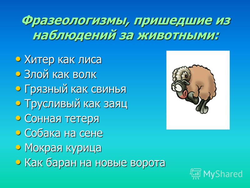 Фразеологизм К Слову Путать
