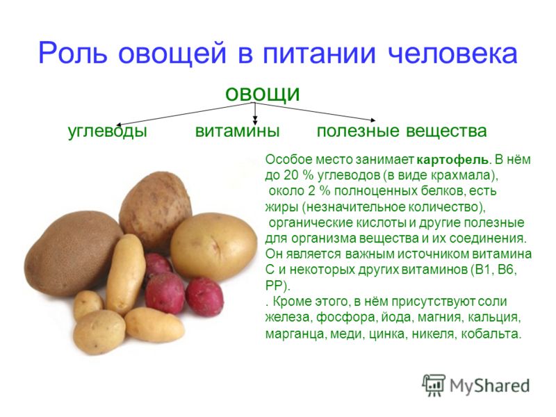Картофель чем полезен беременным 64