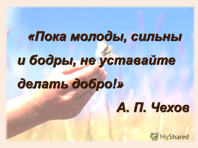 салат