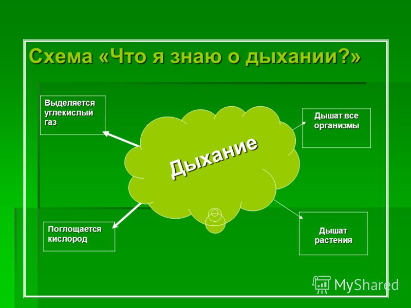 Как доказать что во время дыхания выделяется углекислый газ Как доказать что во время дыхания выделяется