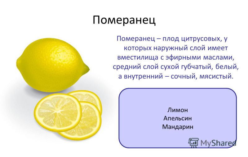 Как определить пол ребенка по последним месячным? Как зачать и родить здорового ребенка, обследование перед