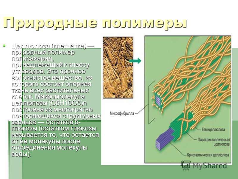 Природные полимеры Целлюлоза (клетчатка) природный полимер полисахарид, принадлежащий к классу углеводов. Это прочное волокнистое вещество, из которого состоит опорная ткань всех растительных клеток. Макромолекула целлюлозы (С6Н10О5)n построена из мн