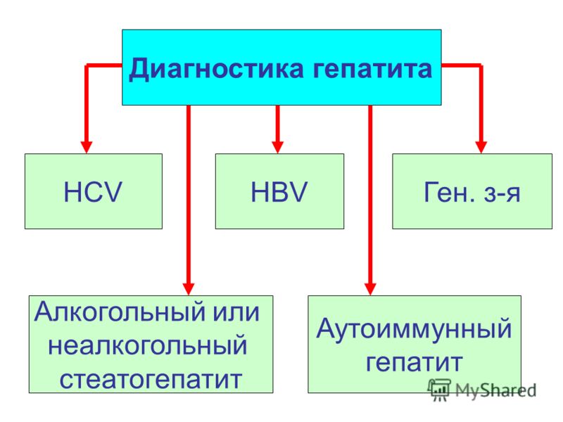 Диагностика гепатита HBVHCVГен. з-я Алкогольный или неалкогольный стеатогепатит Аутоиммунный гепатит