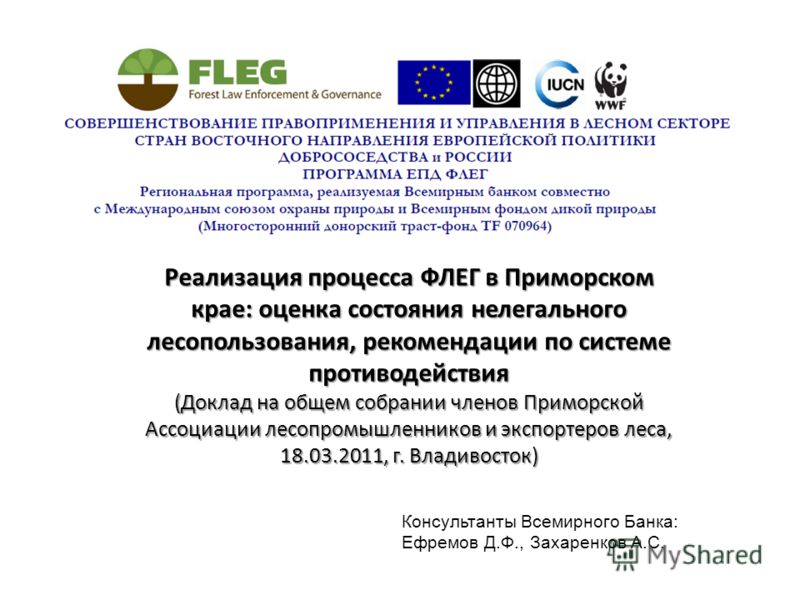 Доклад: Анализ лесопользования в Приморском крае