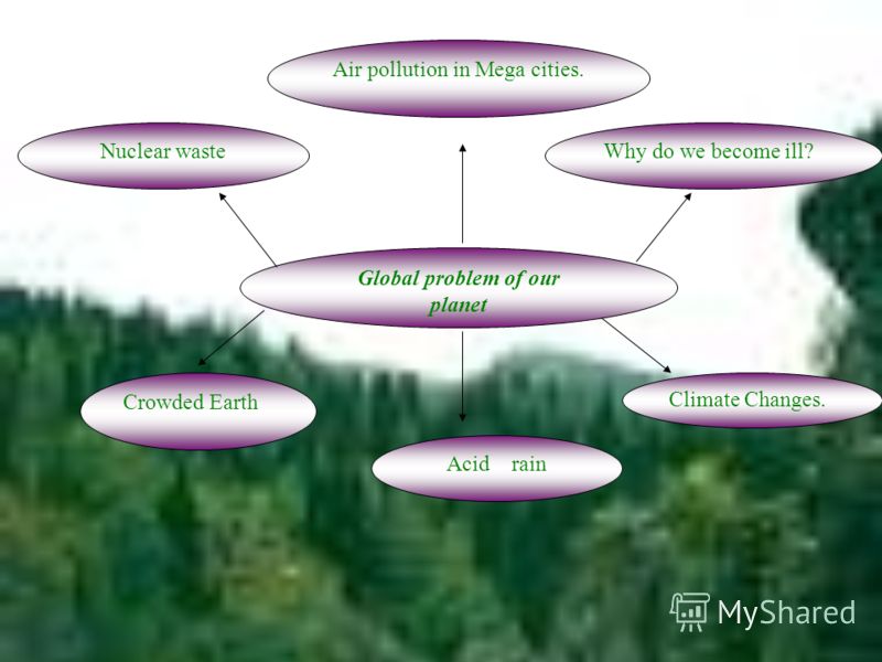 Ecological crisis essay
