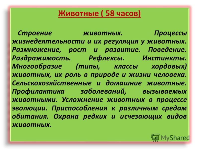 Процессы жизнедеятельности животных презентация - 85 фото