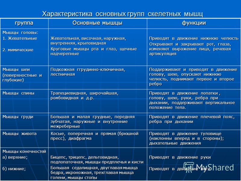 Жидкий азот, продажа жидкого азота Вязаные платья/туники Записи в рубрике Вязаные
