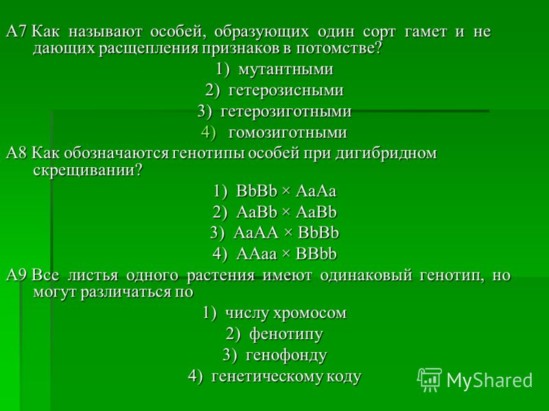 Особи образующие один сорт гамет не дающие Особи образующие один сорт гамет не дающие