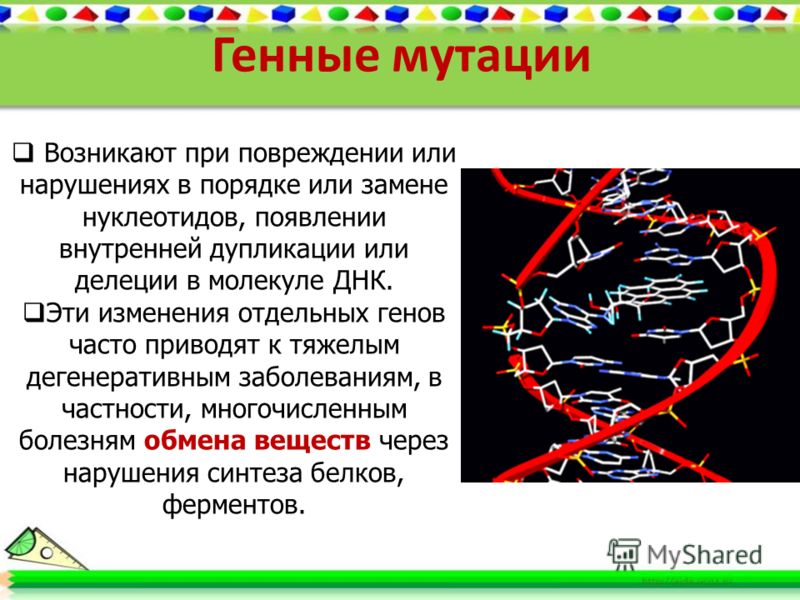 Организационная структура предприятий Нравственные проблемы современного общества России