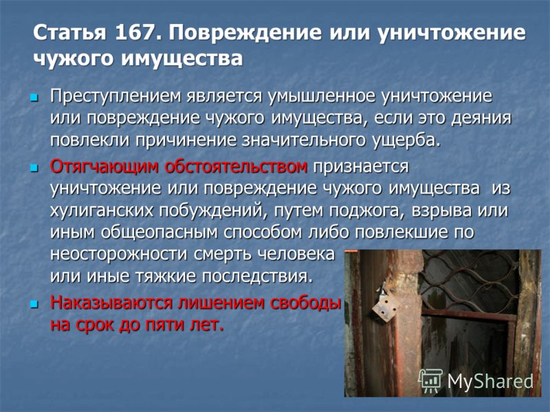 было статья за кражу кота того