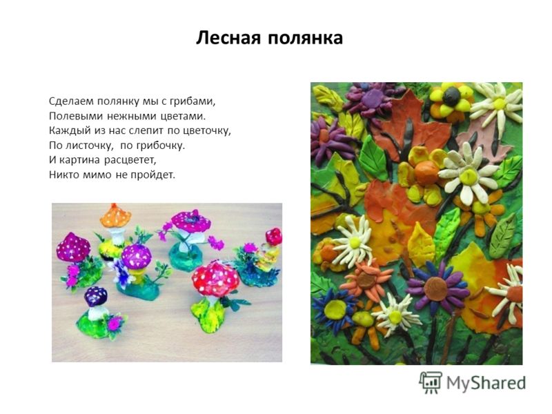 Стих на цветочной поляне Стих на цветочной поляне